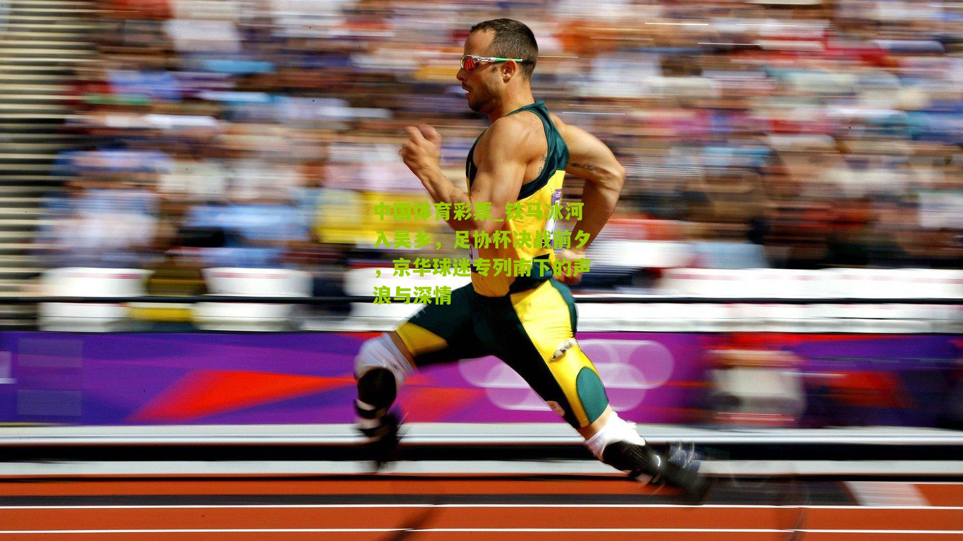 铁马冰河入吴乡，足协杯决战前夕，京华球迷专列南下的声浪与深情