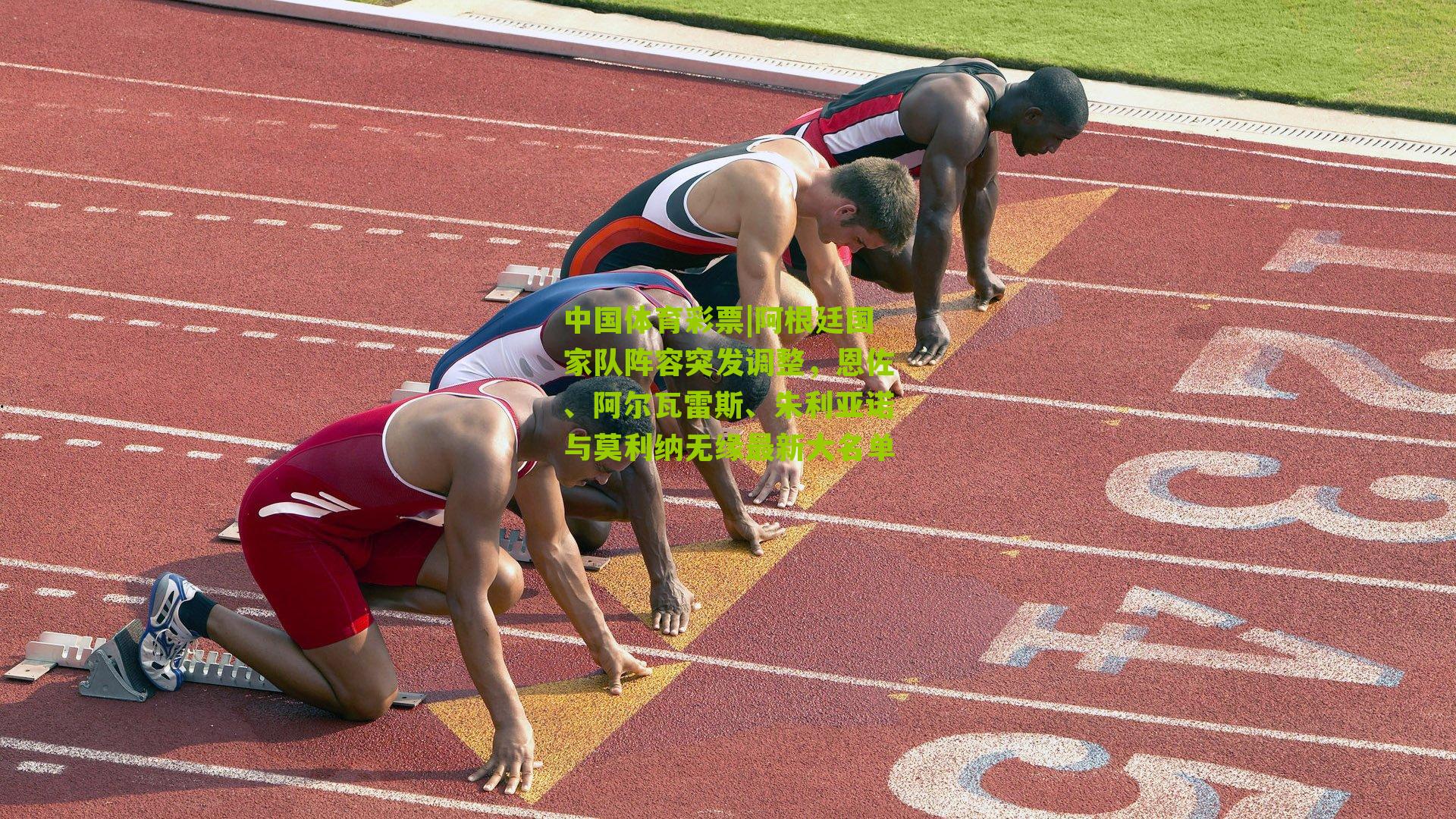 阿根廷国家队阵容突发调整，恩佐、阿尔瓦雷斯、朱利亚诺与莫利纳无缘最新大名单