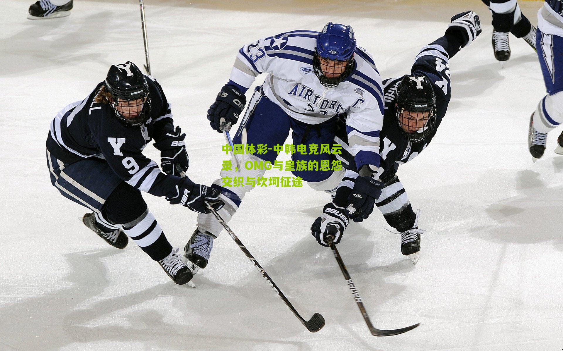 中韩电竞风云录,OMG与皇族的恩怨交织与坎坷征途